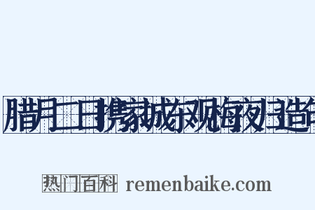 腊月二日携家城东观梅夜归造句是什么意思的图片